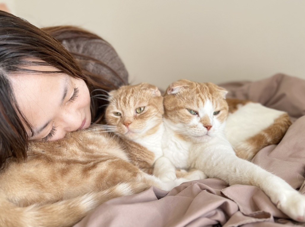 猫シッター 複数匹対応 恵比寿 渋谷 横浜 | Pet Sitter OASIS