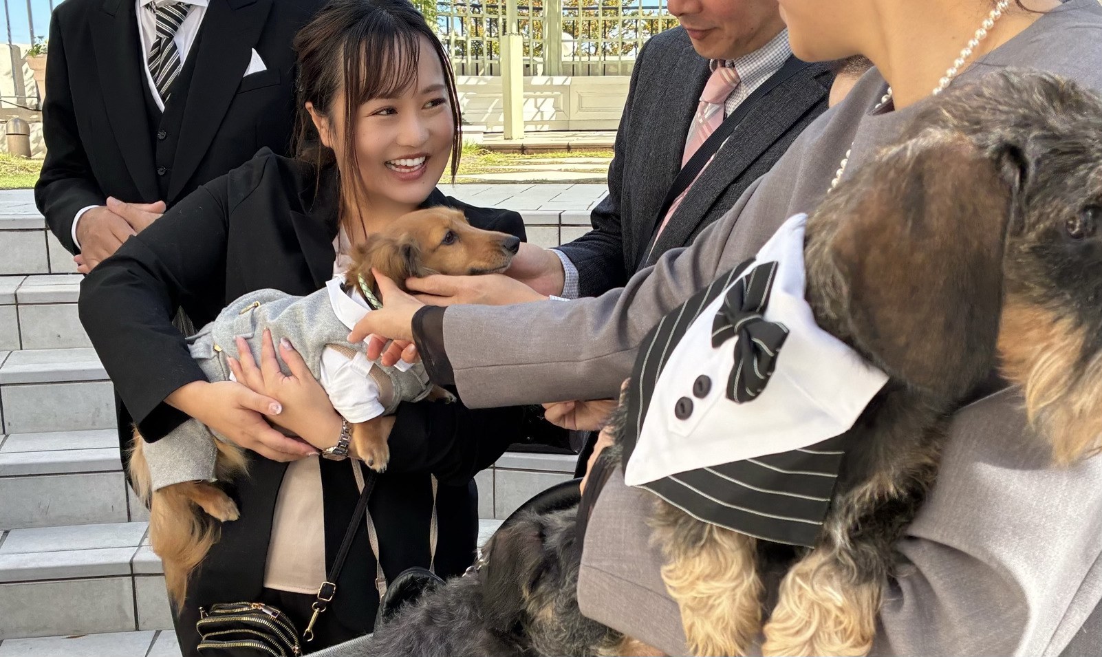 犬シッター 結婚式 ペットウェディング 横浜 渋谷 | Pet Sitter OASIS