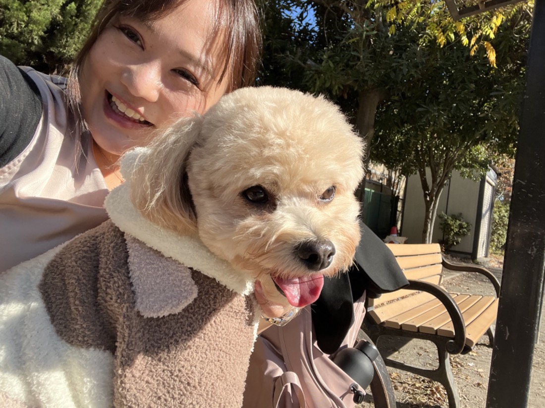 ペットシッターと甘えるトイプードル | Pet Sitter OASIS 犬シッター