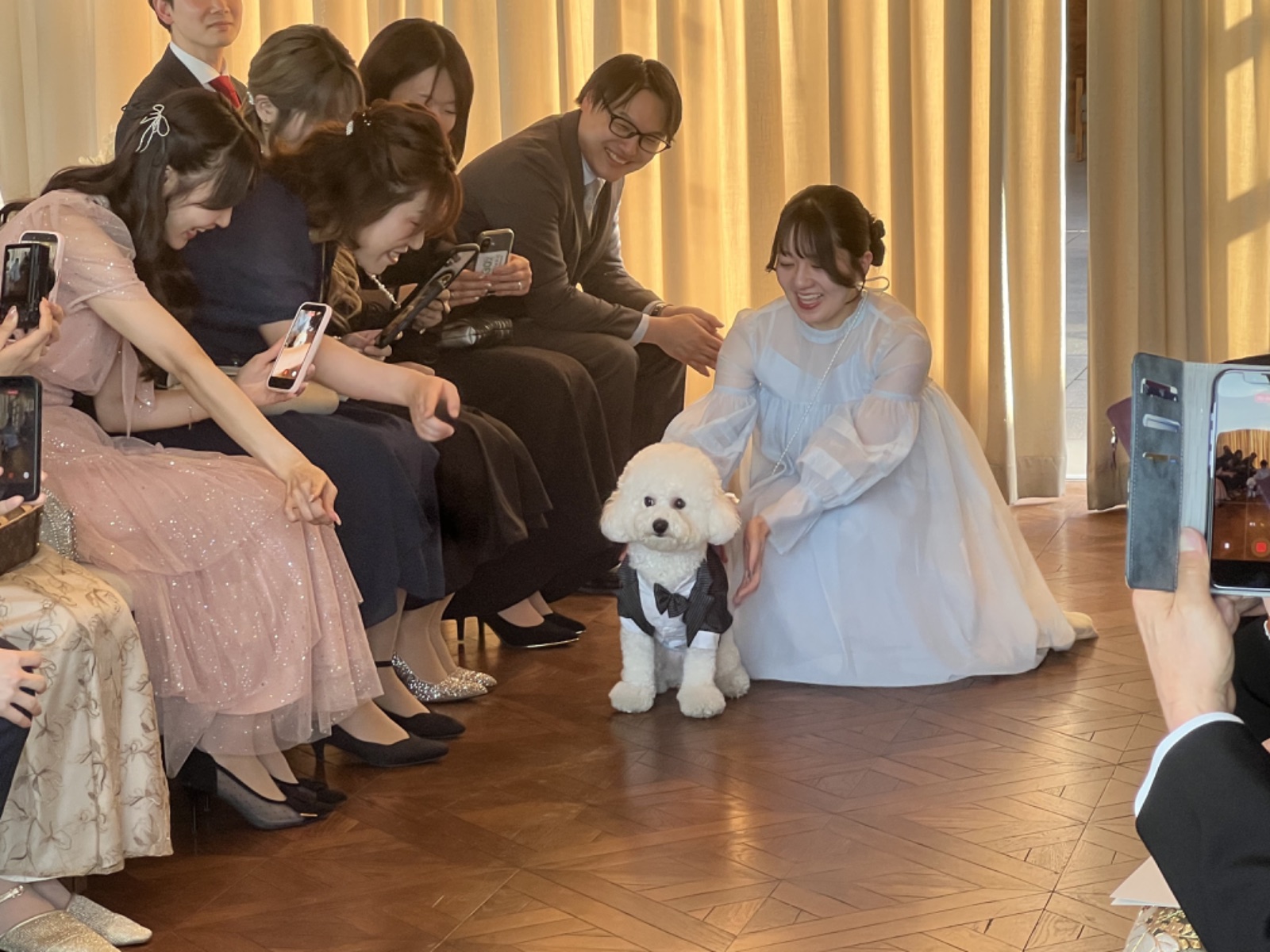 挙式で新婦に寄り添う犬 リングドッグ | Pet Sitter OASIS
