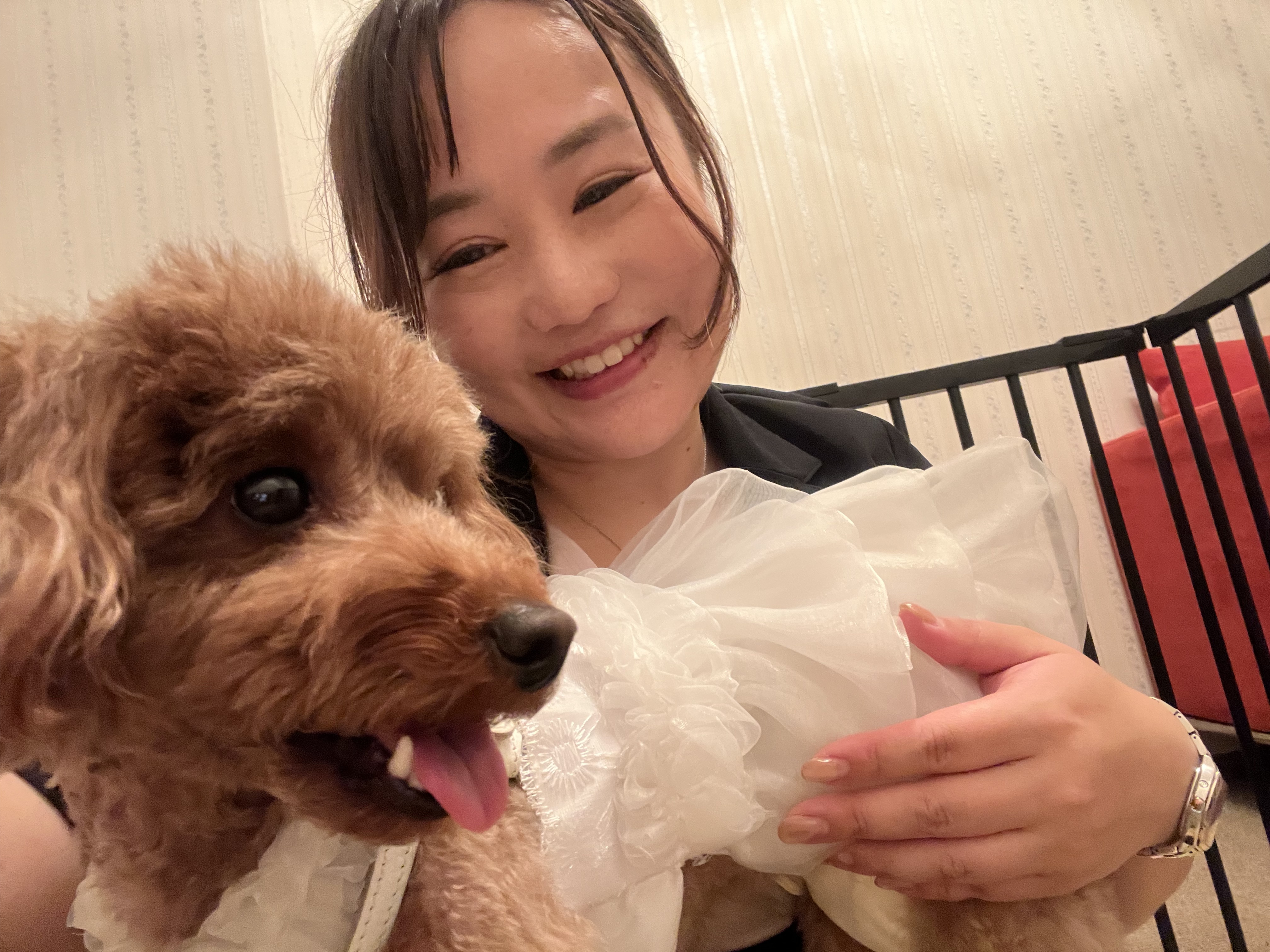 代表シッターとドレス姿のワンちゃん