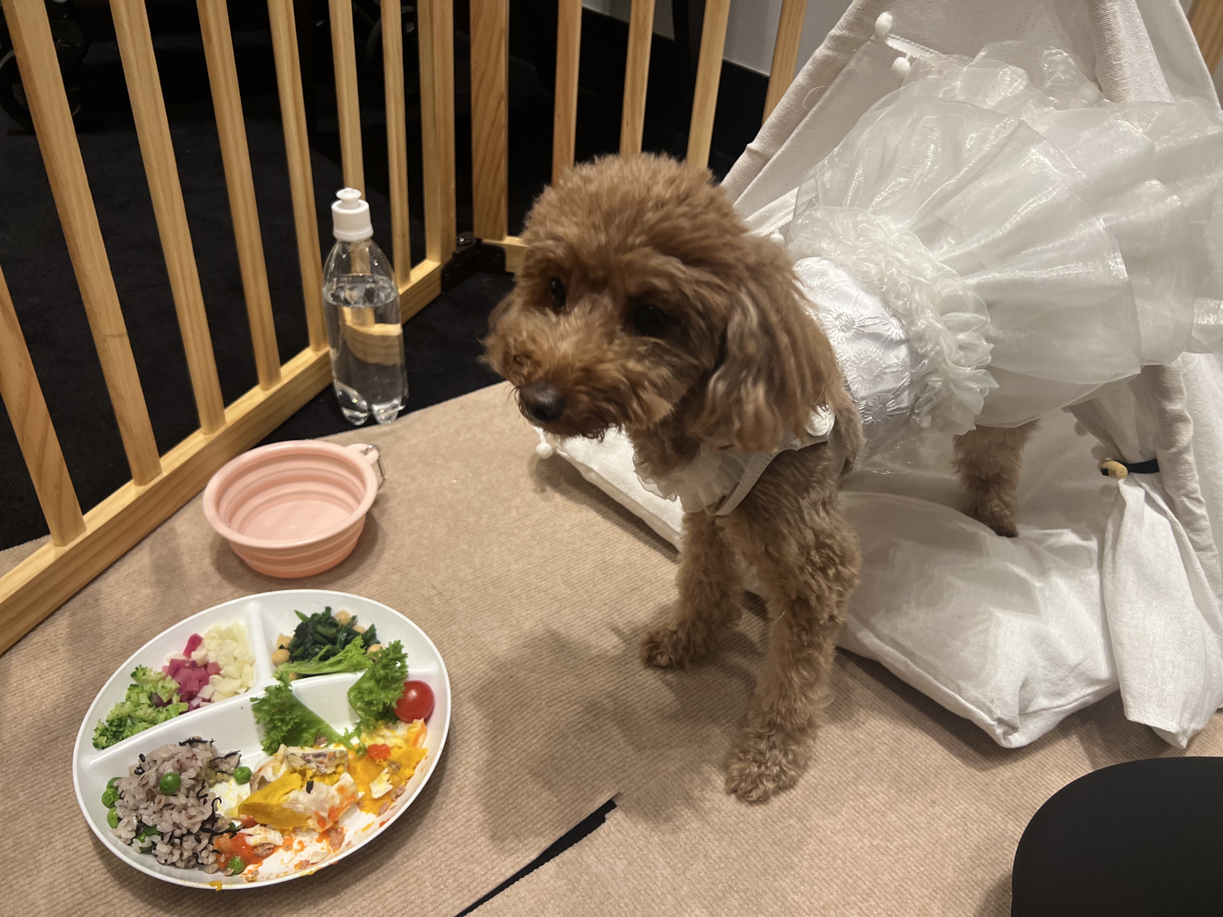 お食事タイム