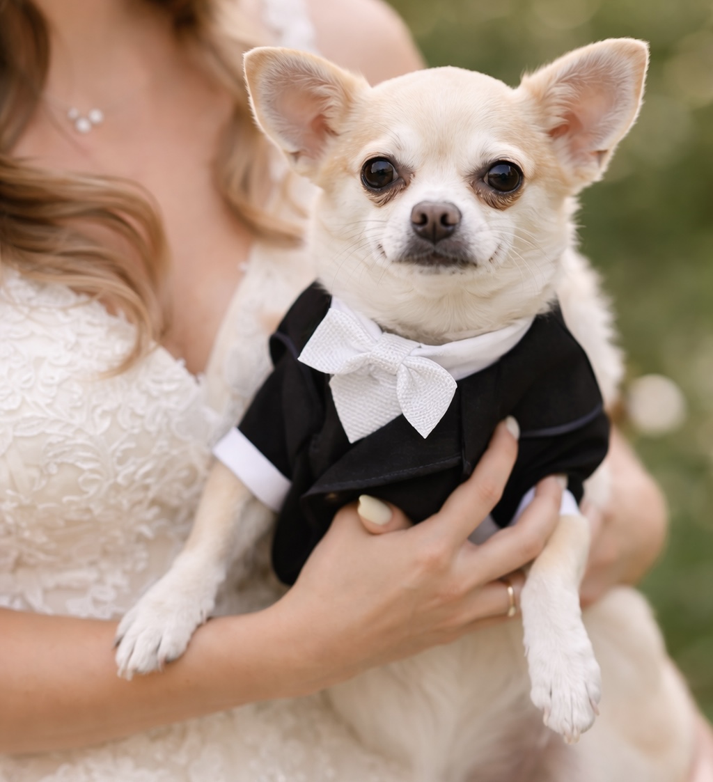 結婚式サポート